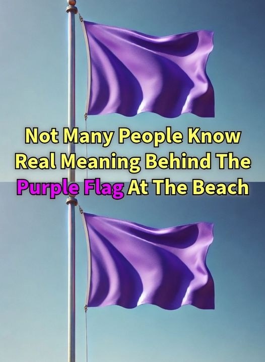 The Meaning of a Purple Flag!
