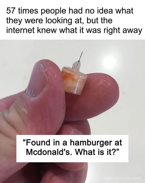 57 times people had no idea what they were looking at, but the internet knew what it was right away (link in the comments)