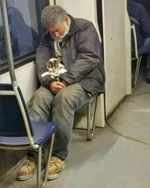 “Just Keeping Her Warm”: The Homeless Man Who Saved a Kitten – And How It Changed Three Lives Forever