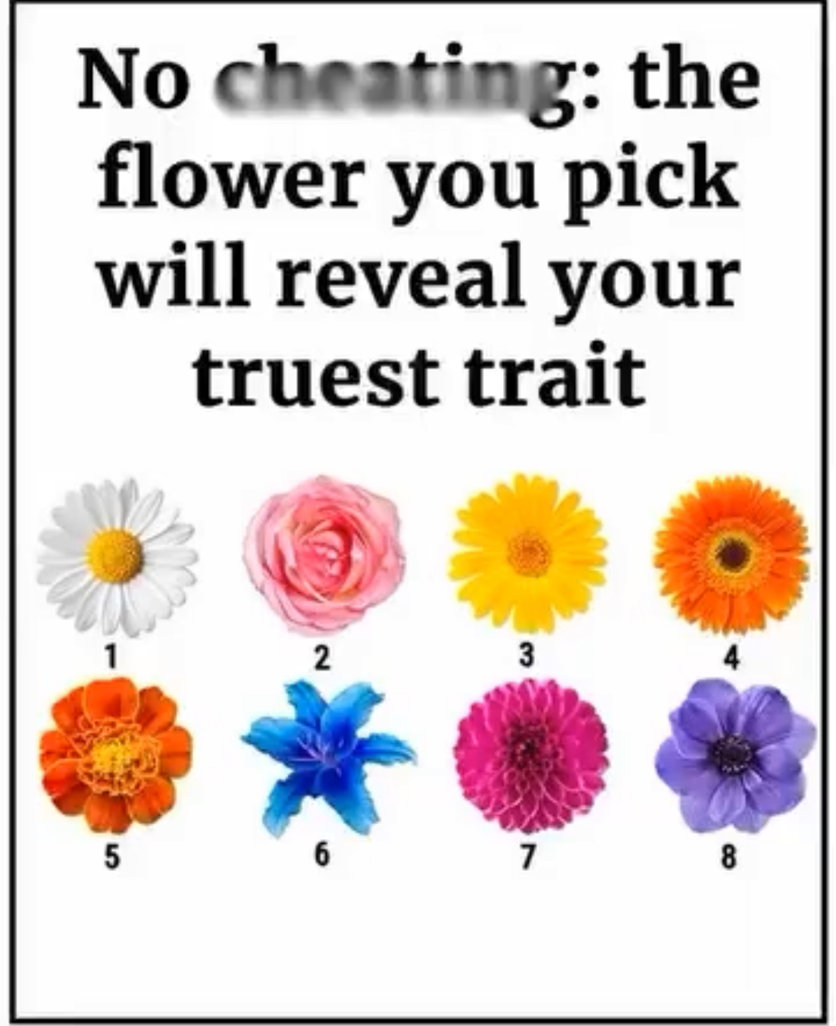Flower Uncovers Secret Aspects of Your Personality
