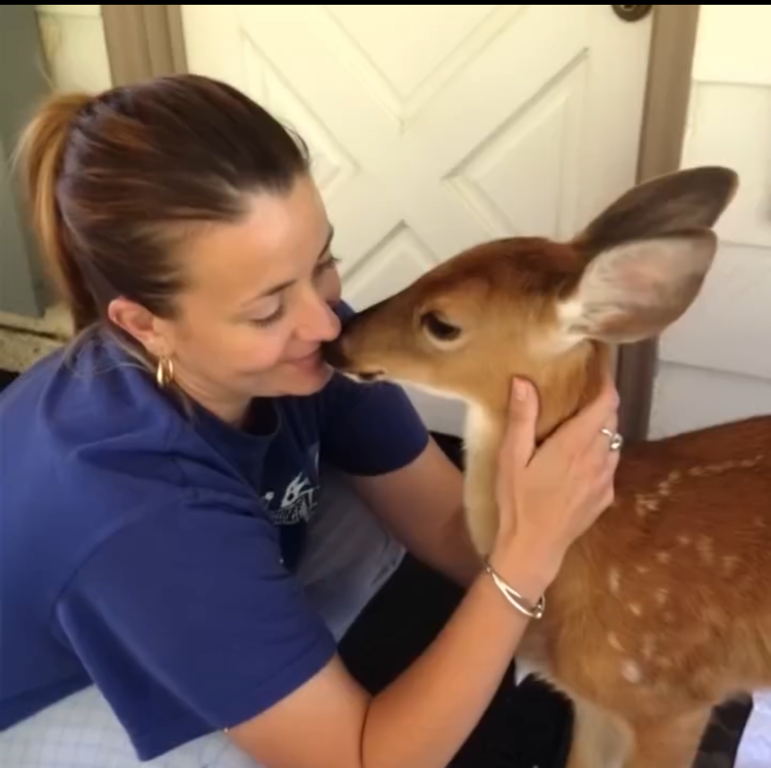 The Deer at Our Door—and the Secret on Its Leg