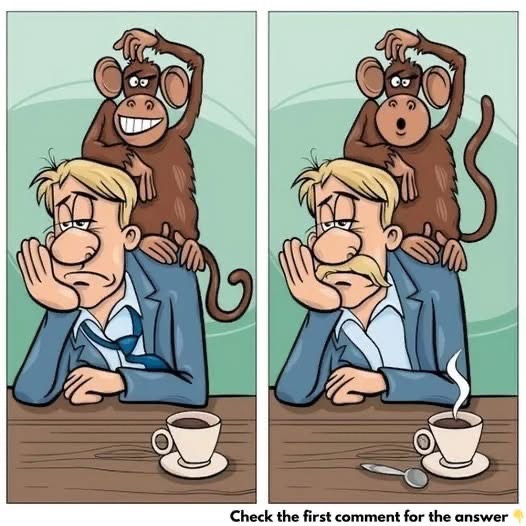 Look Closely—There Are 7 Little Differences Between These Two Pictures!