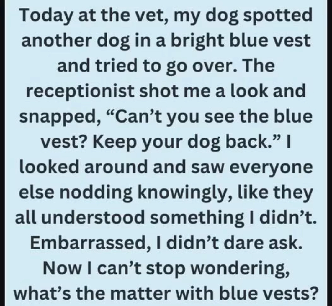 The Hidden Meaning Behind a Dog’s Blue Vest, Leash, or Bandana